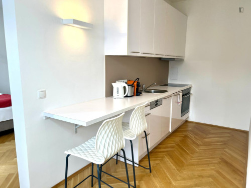 Bright 1-bedroom flat close to the Ottakring subway station  - Gallery -  5