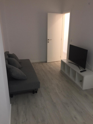 Modern 1-bedroom apartment with outdoor area close to IST