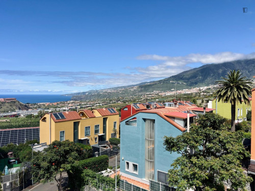 Single bedroom in 3-bedroom house in the Orotava Valley - Gallery - 12