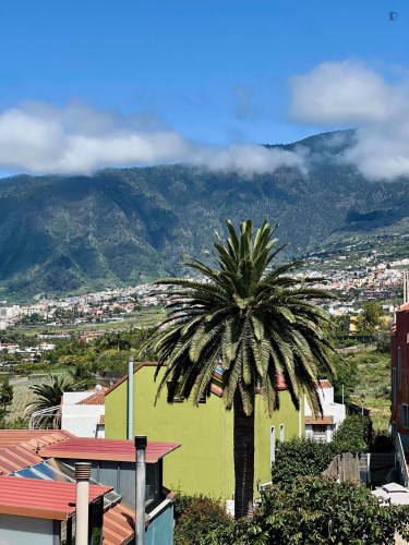 Single bedroom in 3-bedroom house in the Orotava Valley - Gallery - 8
