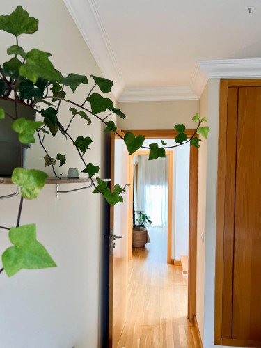 Single bedroom in 3-bedroom house in the Orotava Valley  - Gallery -  5