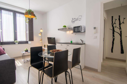 Apartment in Calle Frailes, Granada with 1 bedroom