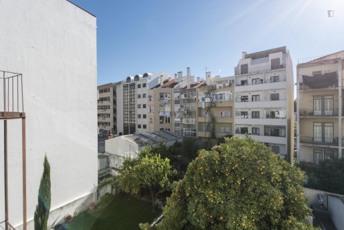 Comfy single bedroom near ISCTE - Instituto Universitário de Lisboa - Gallery - 11