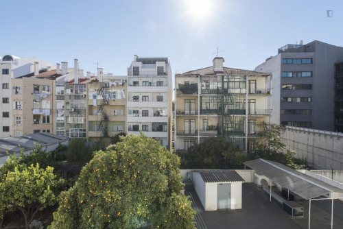 Comfy single bedroom near ISCTE - Instituto Universitário de Lisboa - Gallery - 10