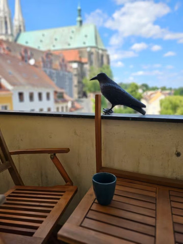 Studio flat in Görlitz in a prime location - Gallery - 14