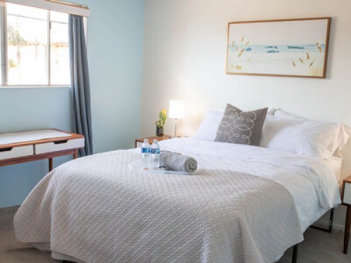 Sun-Filled Private Room & Bath - Gallery - 14