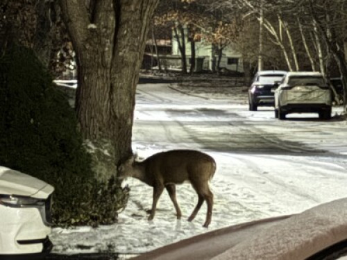 Cozy Suite Overlooking Waterviews.