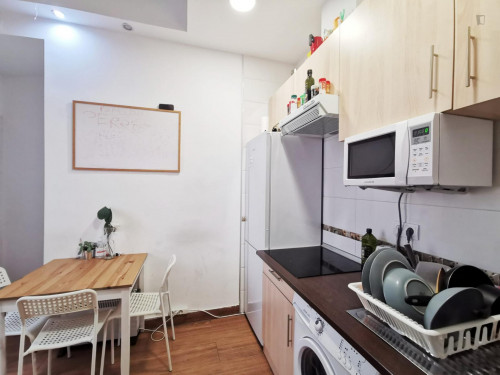 Pleasant double bedroom in a flat, near Universidad Politécnica de Madrid - Campus Madrid Ciudad