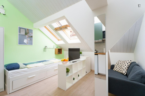 Lovely studio near the Vršovice train station  - Gallery -  5