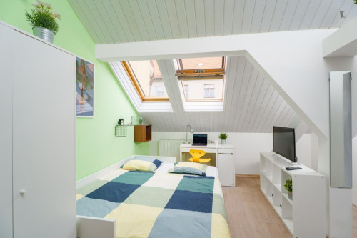 Lovely studio near the Vršovice train station