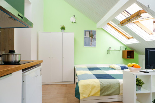 Lovely studio near the Vršovice train station