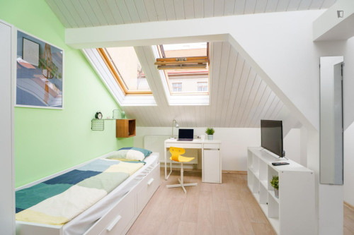 Lovely studio near the Vršovice train station