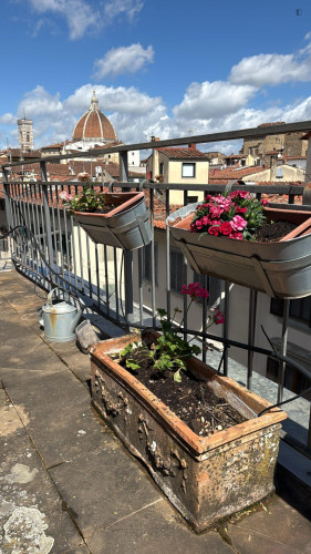 2-Bedroom Apartment with Terrace in Florence