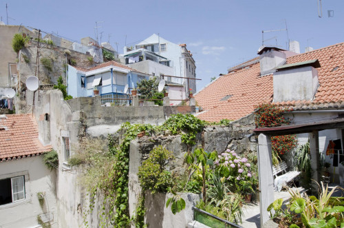 Refurbished one-bedroom apartment near central Rossio and Martim Moniz - Gallery - 8