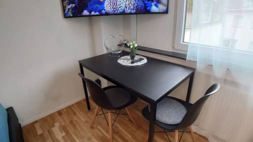 Central studio in Stuttgart  - Gallery -  4