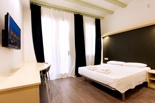 Spacious double ensuite bedroom in El Raval