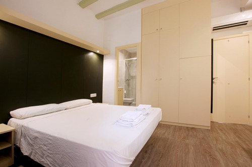 Spacious double ensuite bedroom in El Raval