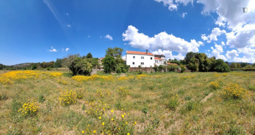 Charming flat in a farm, Serra da Lousã - Gallery - 8