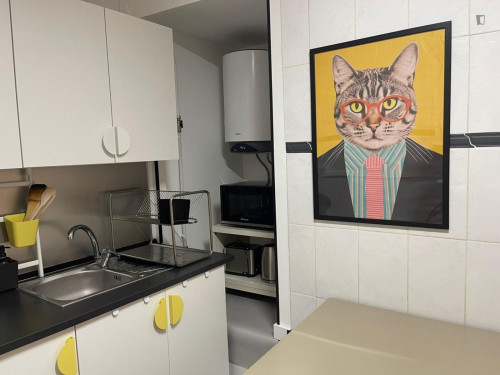 Excitement Single Bedroom close to Coimbra University - Gallery - 6