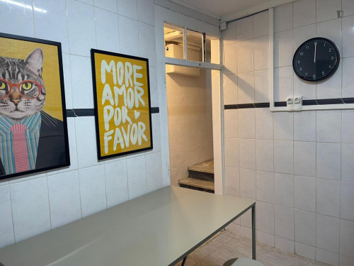 Excitement Single Bedroom close to Coimbra University - Gallery - 7