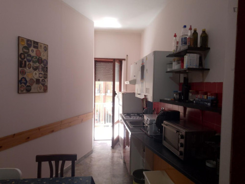 Single Bedroom in a shared apartment in Rome   - Gallery -  5