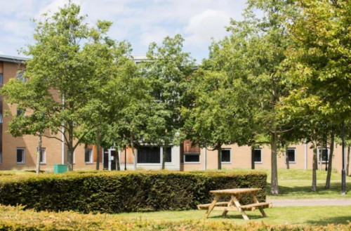 Accessible double ensuite bedroom near the University of Bedfordshire - Gallery - 15