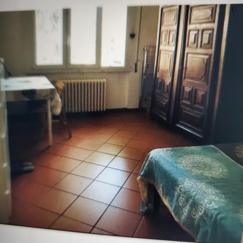 Single bedroom in 3-bedroom apartment