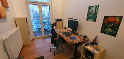 Loft apartment in Dresden - pet-friendly, terrace, parking - Gallery - 12