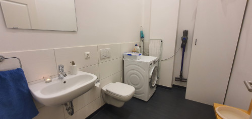 Loft apartment in Dresden - pet-friendly, terrace, parking