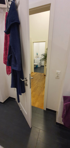 Loft apartment in Dresden - pet-friendly, terrace, parking - Gallery - 43