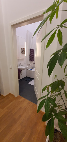 Loft apartment in Dresden - pet-friendly, terrace, parking - Gallery - 38