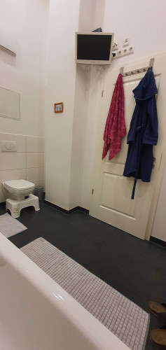 Loft apartment in Dresden - pet-friendly, terrace, parking - Gallery - 42