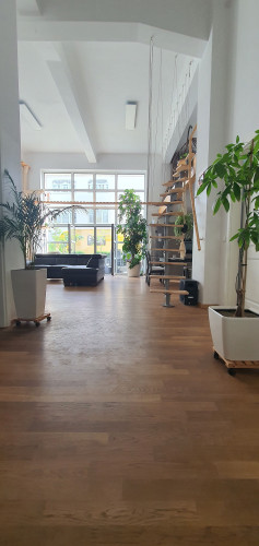 Loft apartment in Dresden - pet-friendly, terrace, parking - Gallery - 37