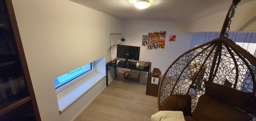 Loft apartment in Dresden - pet-friendly, terrace, parking - Gallery - 10