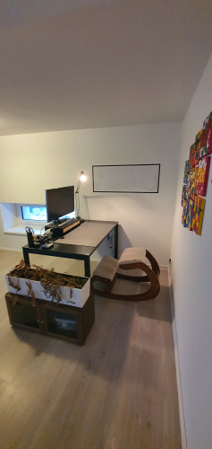 Loft apartment in Dresden - pet-friendly, terrace, parking - Gallery - 11