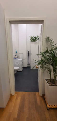 Loft apartment in Dresden - pet-friendly, terrace, parking - Gallery - 44