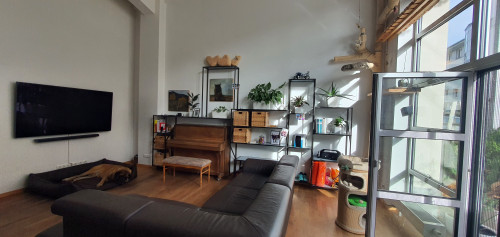 Loft apartment in Dresden - pet-friendly, terrace, parking - Gallery - 29