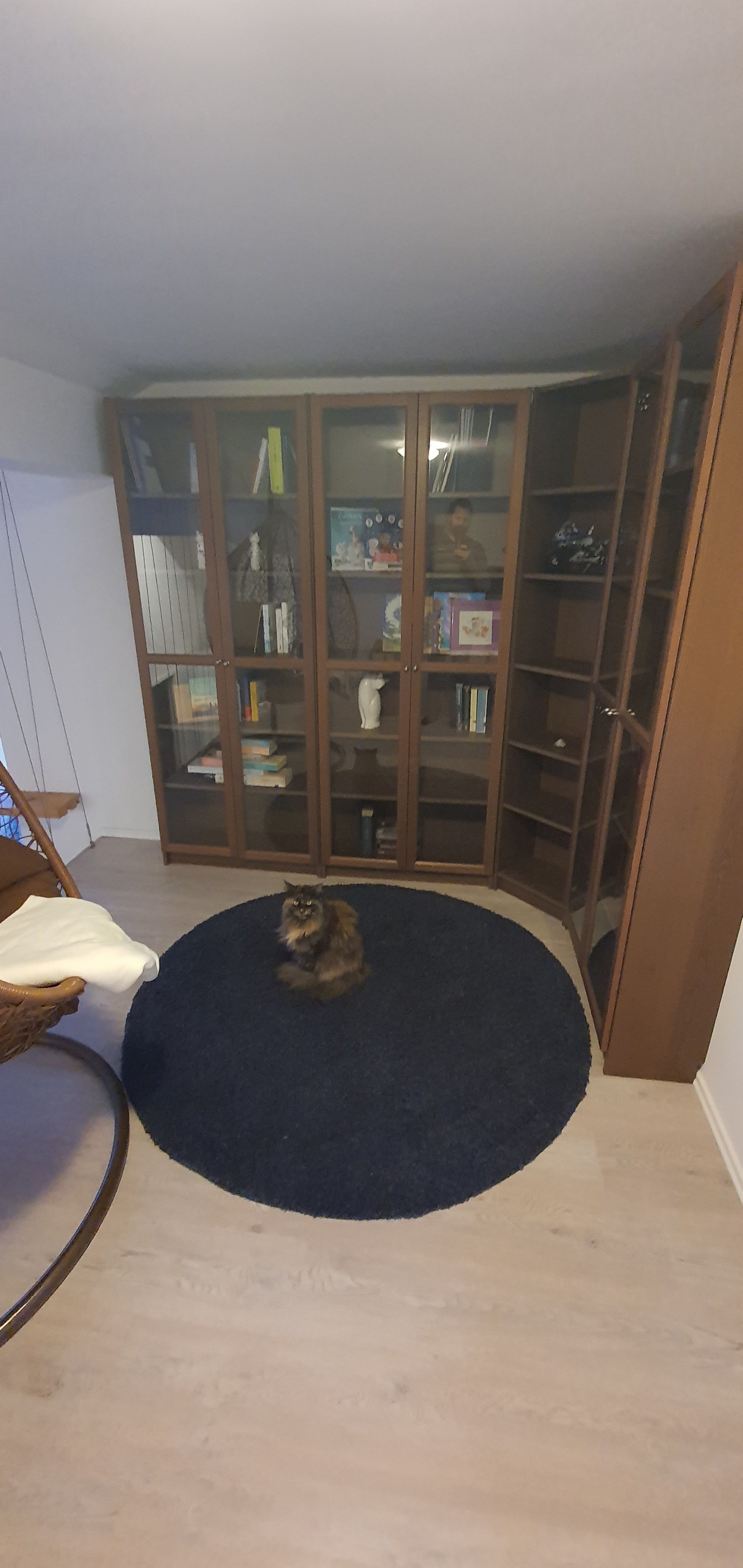 Loft Apartment In Dresden - Pet-Friendly, Terrace, Parking - 16