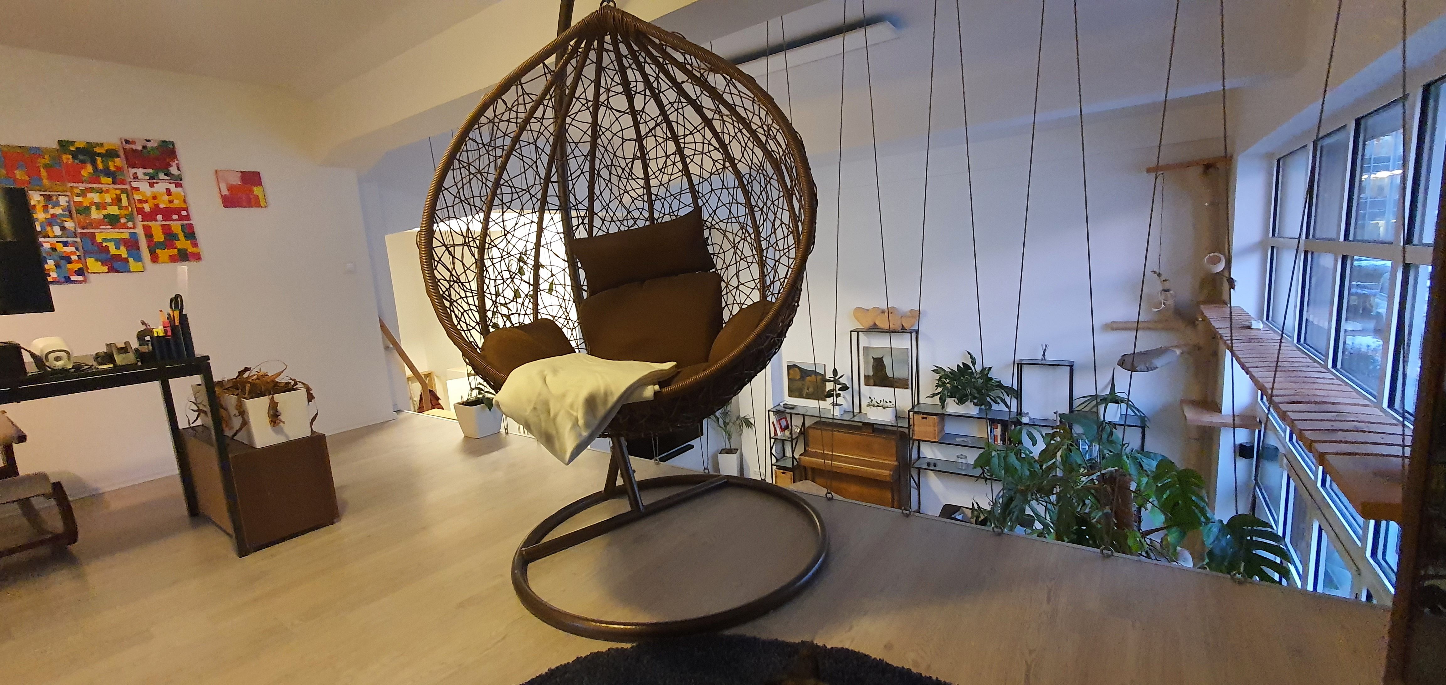 Loft Apartment In Dresden - Pet-Friendly, Terrace, Parking - 18