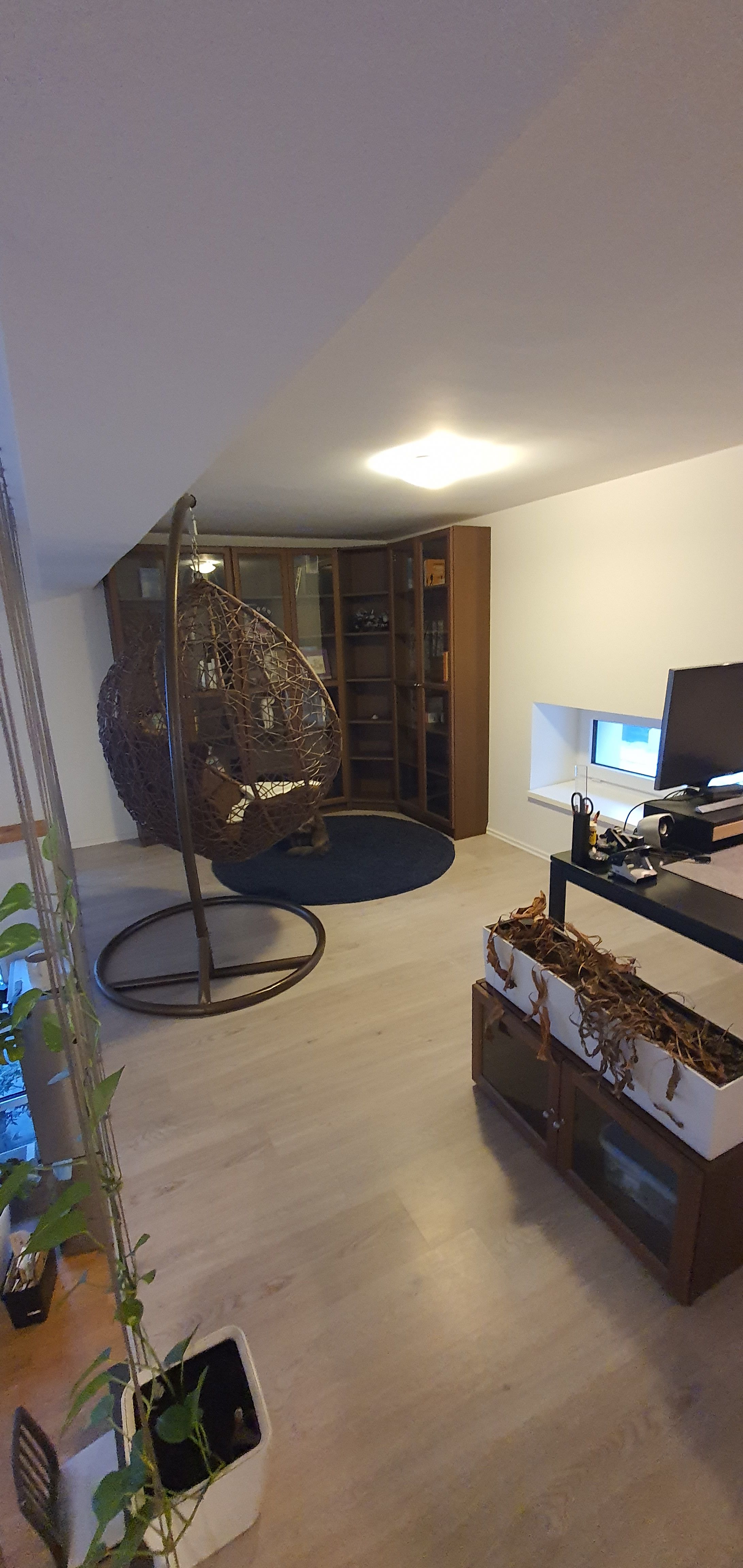 Loft Apartment In Dresden - Pet-Friendly, Terrace, Parking - 17