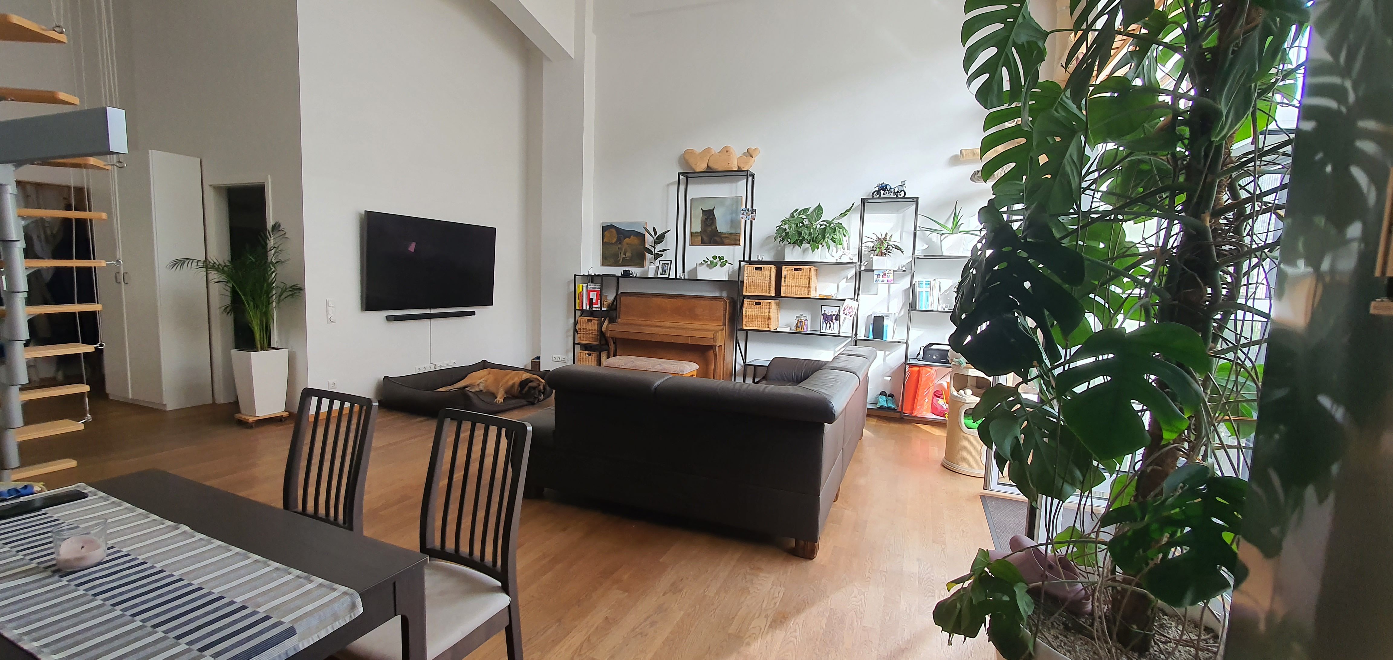 Loft Apartment In Dresden - Pet-Friendly, Terrace, Parking - 46