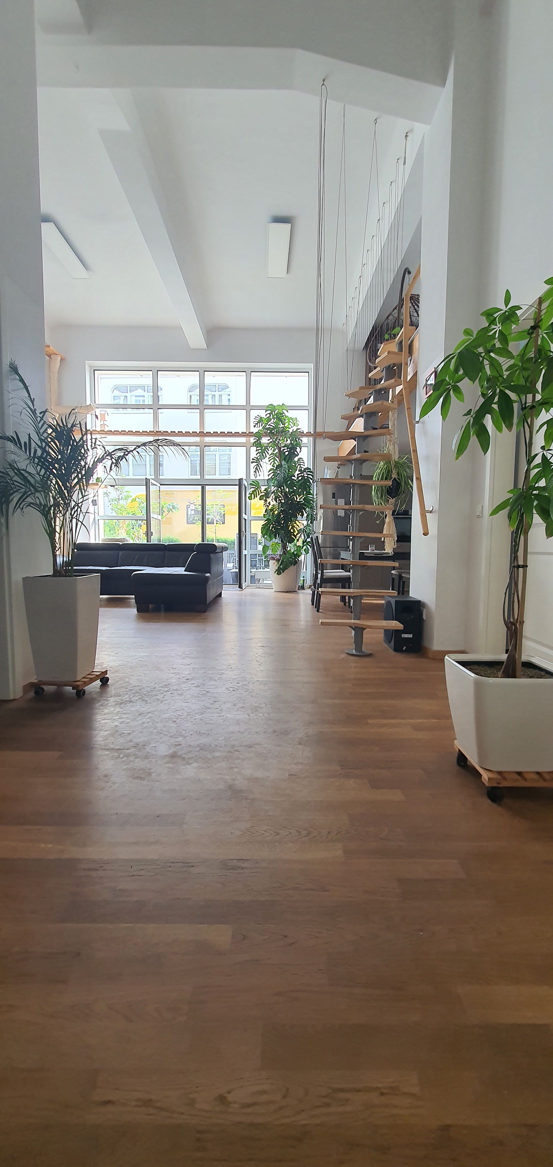 Loft Apartment In Dresden - Pet-Friendly, Terrace, Parking - 47