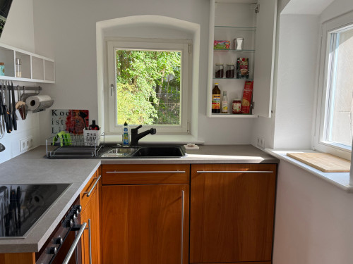 Sunny apartment in a prime location on Dresden's Elbe hillside - Gallery - 10