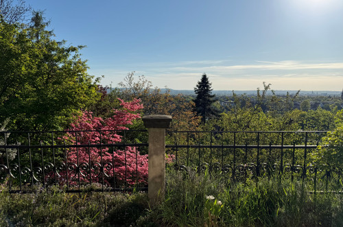Sunny apartment in a prime location on Dresden's Elbe hillside - Gallery - 26