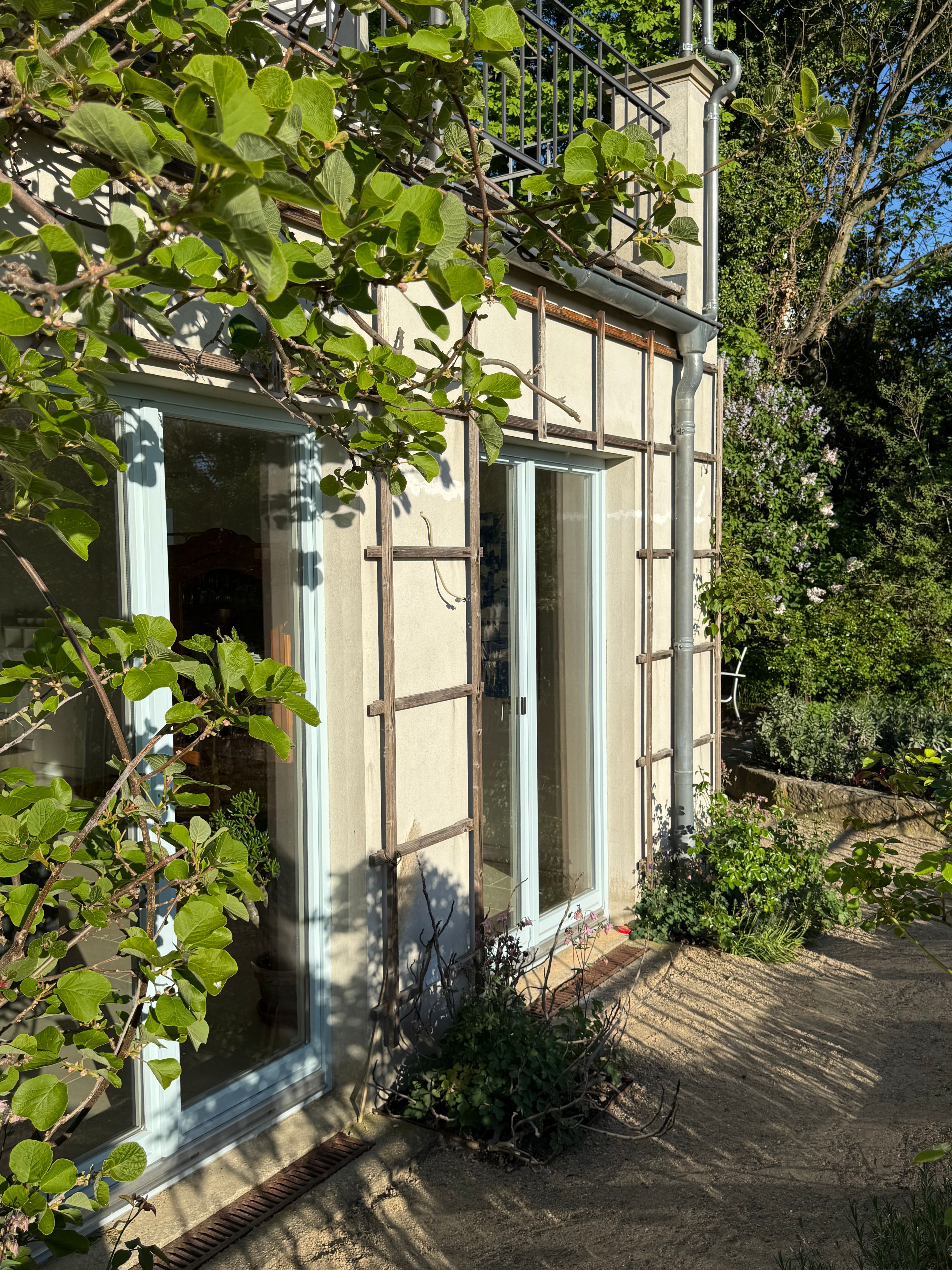 Sunny Apartment In A Prime Location On Dresden's Elbe Hillside - 44