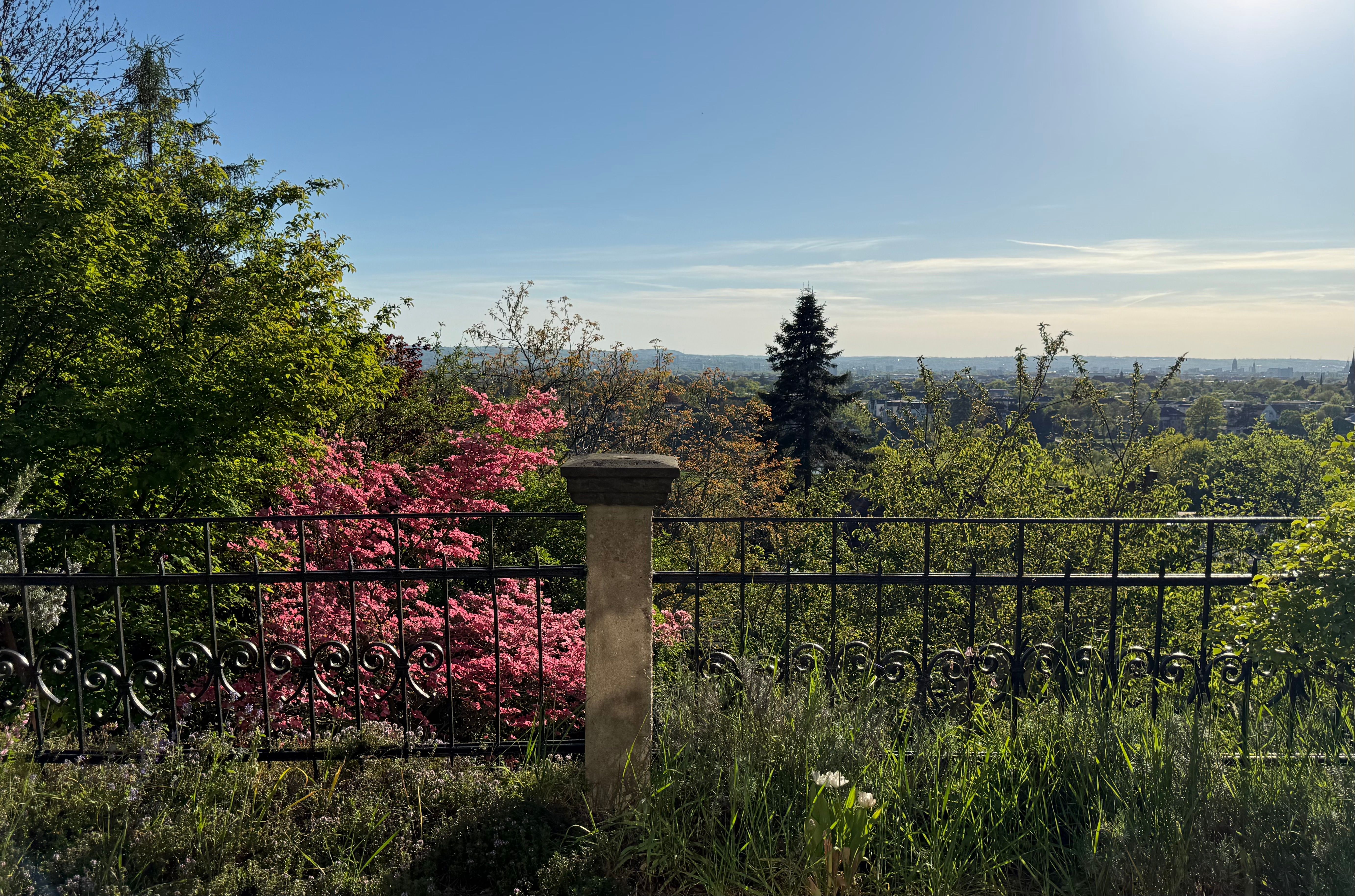 Sunny Apartment In A Prime Location On Dresden's Elbe Hillside - 46