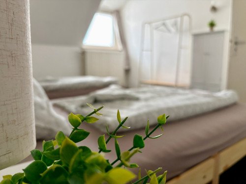 Charming Home Away from Home for Up to 5 Guests - Gallery - 33