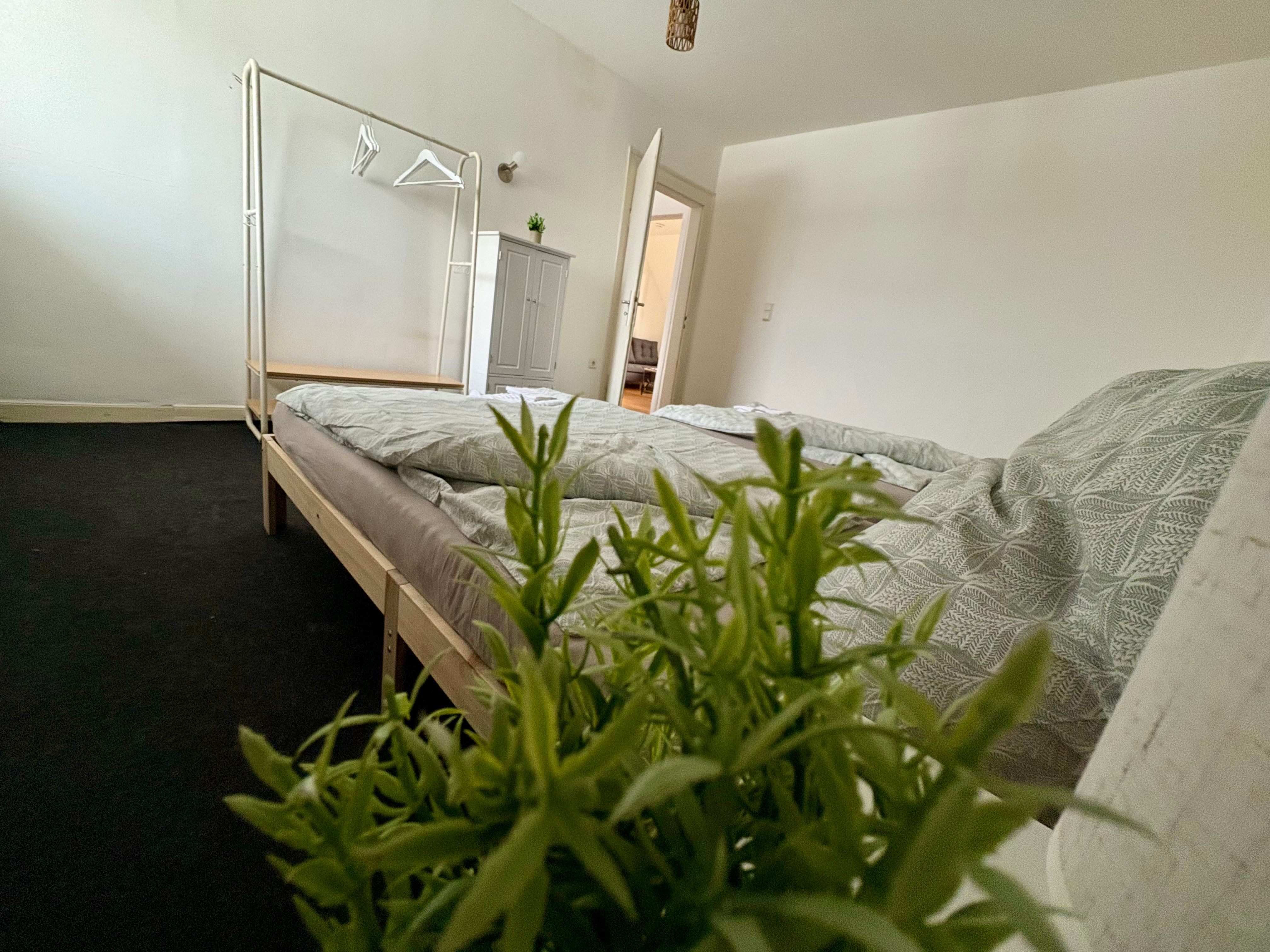 Charming Home Away From Home For Up To 5 Guests - 2