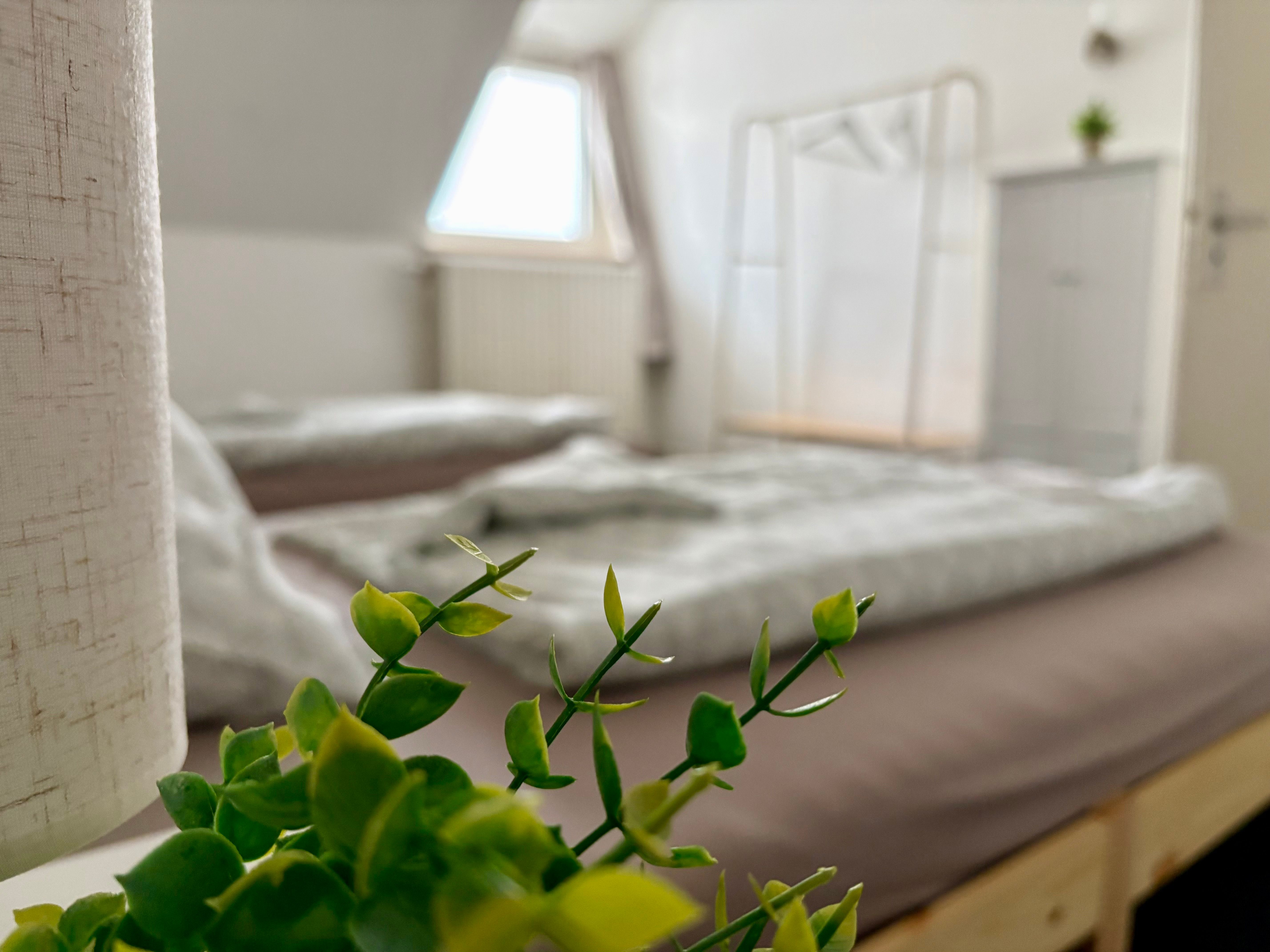 Charming Home Away From Home For Up To 5 Guests - 40