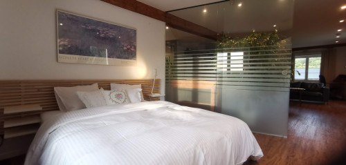 Perfect & wonderful loft (Klettgau) - Gallery - 12